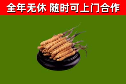 襄垣县烟酒回收冬虫夏草.jpg